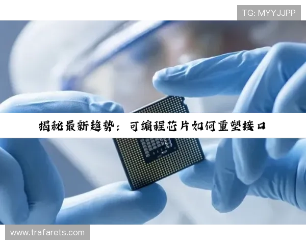 尊龙凯时就是博:如何判断一个游戏平台的真实性与可靠性